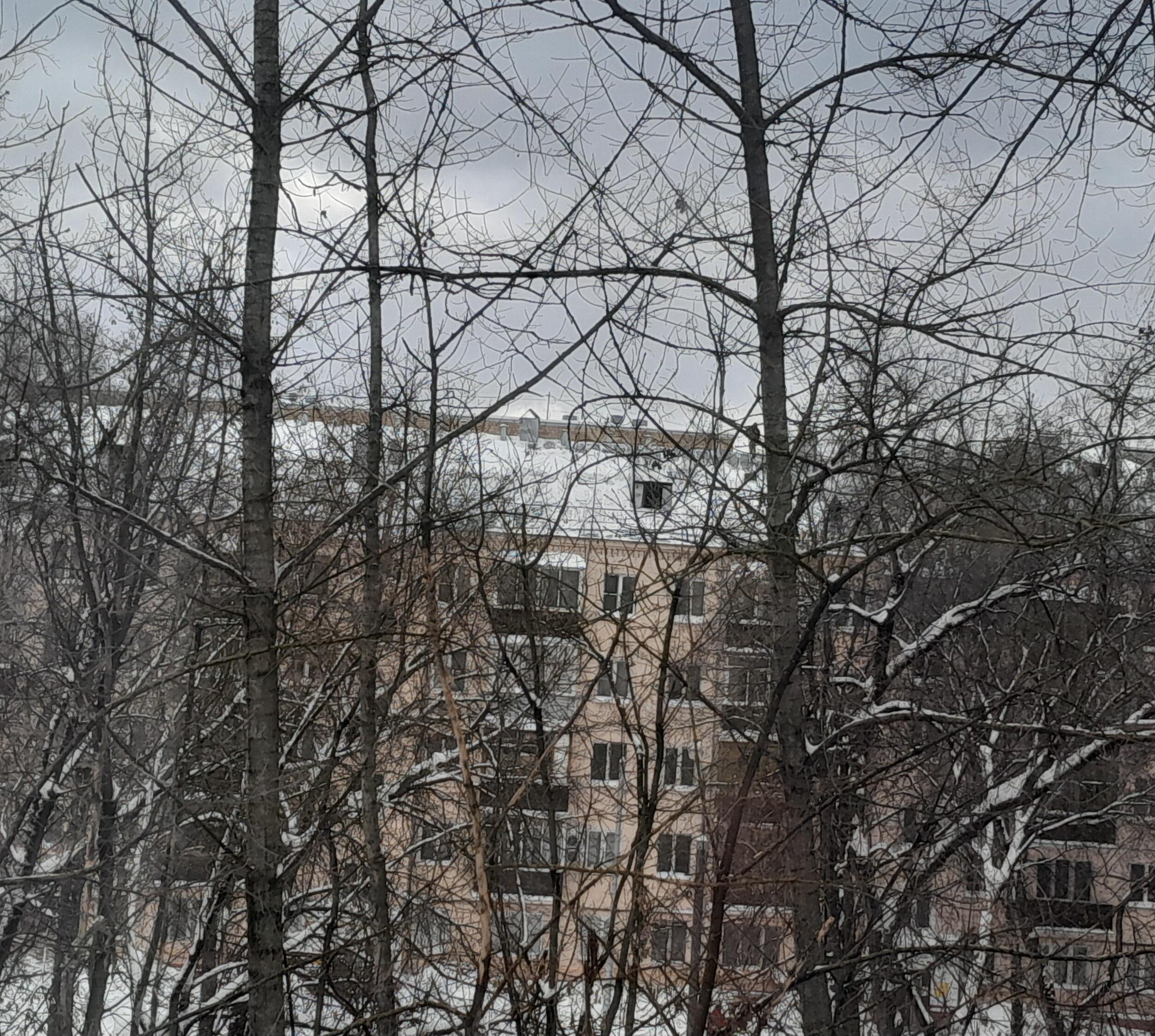 ФЕВРАЛЬСКИЙ БЛЮЗ