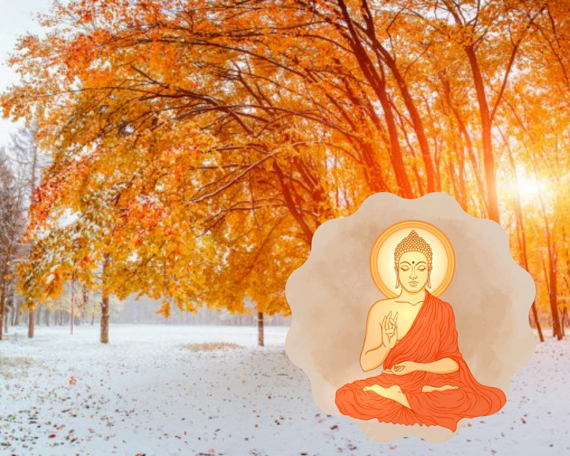 МЕТАМОРФОЗЫ