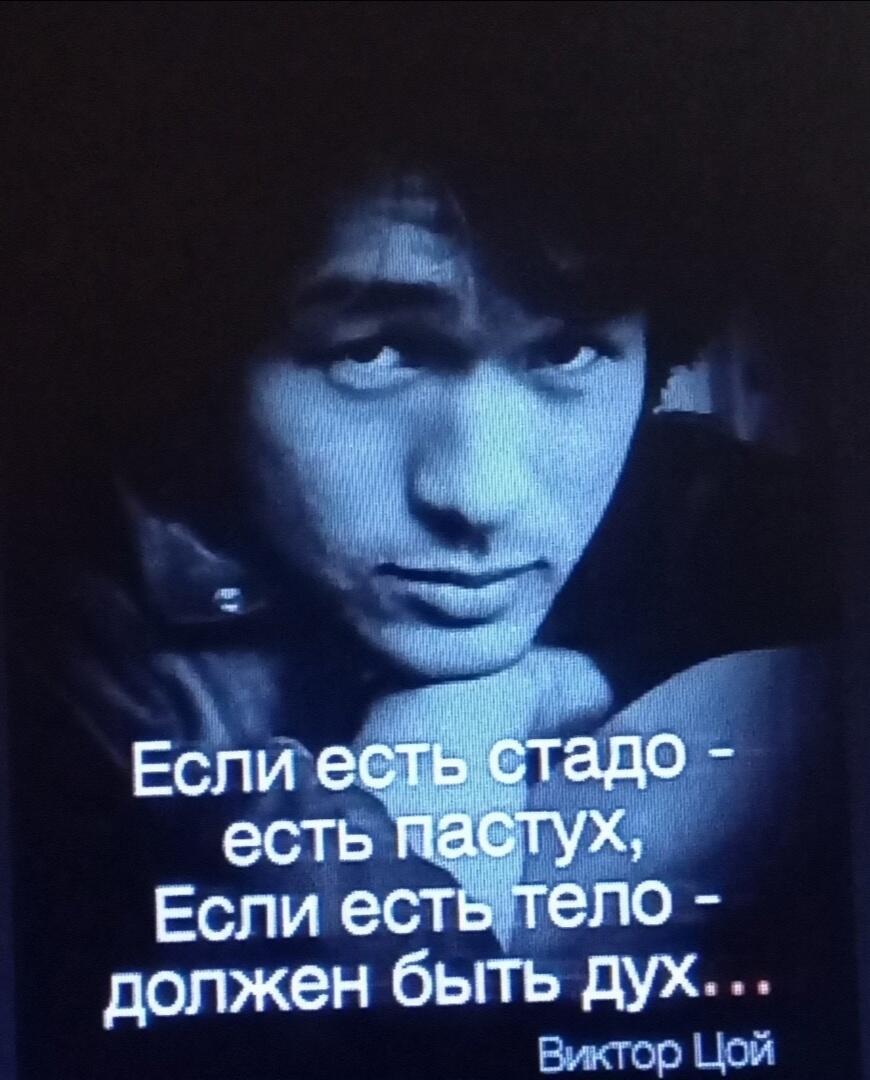 Канатоходец