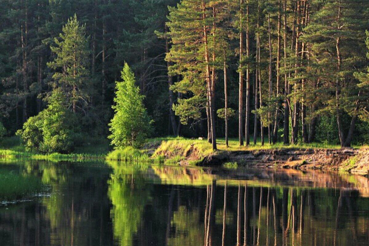  МЕЩЕРА   ( Читая Паустовского...)