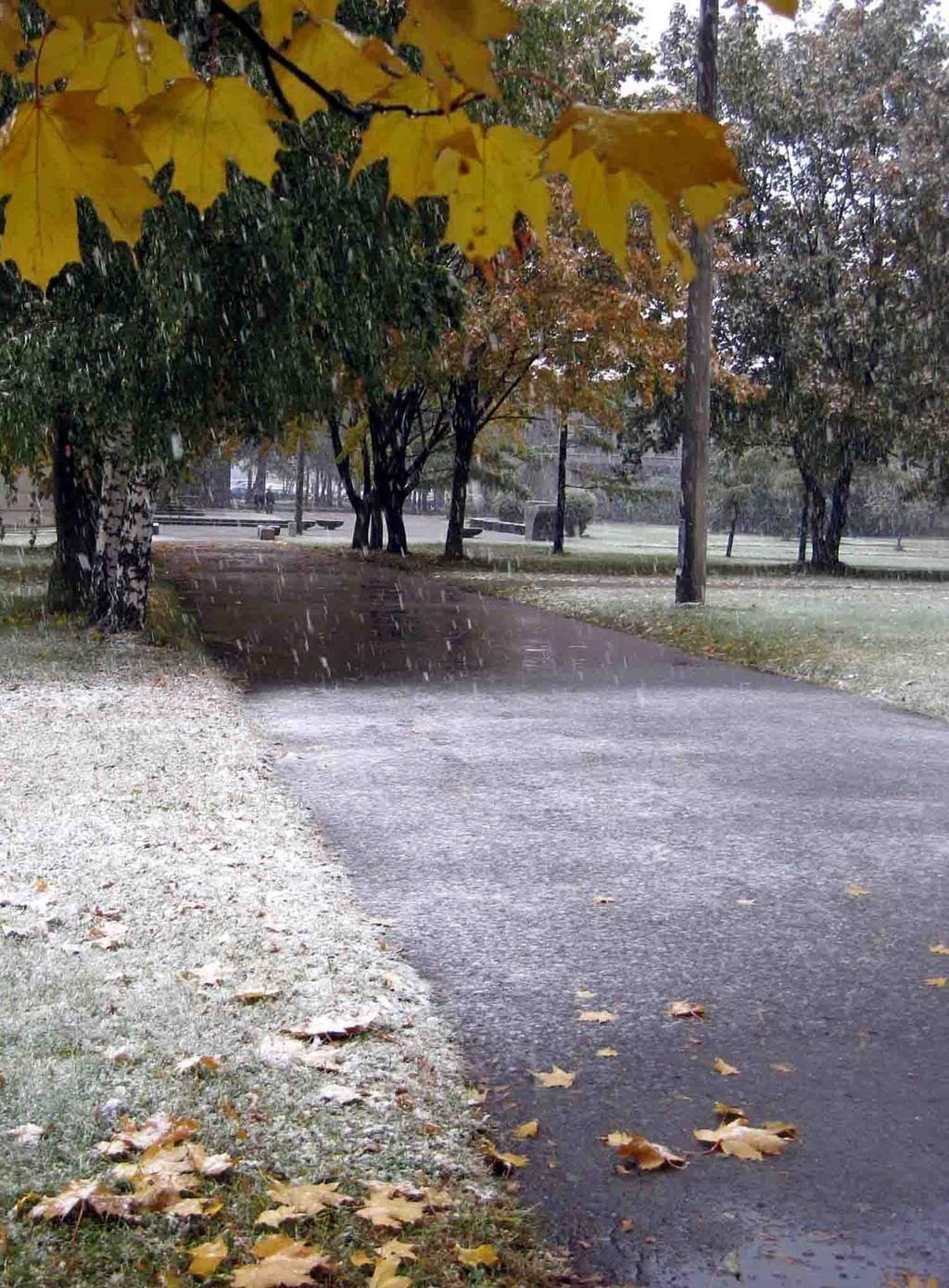 Выцветает белым небо...