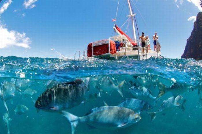 ТАЙНЫ ПЛАНЕТЫ