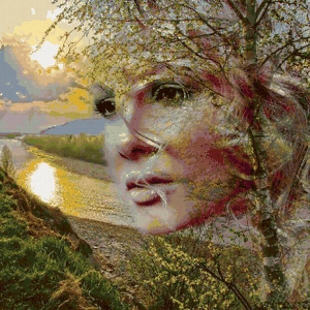 Моя берёзка