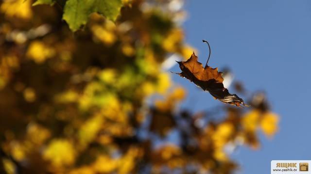 хокку (Лист)