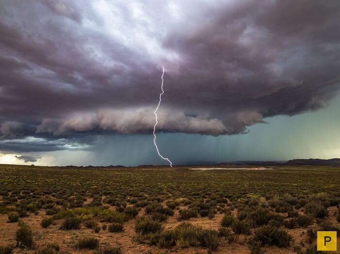 Ответ поэту - Шпарло Валерий - Не просите о пощаде