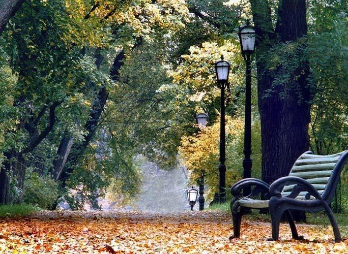 Старый Парк Осенью Фото
