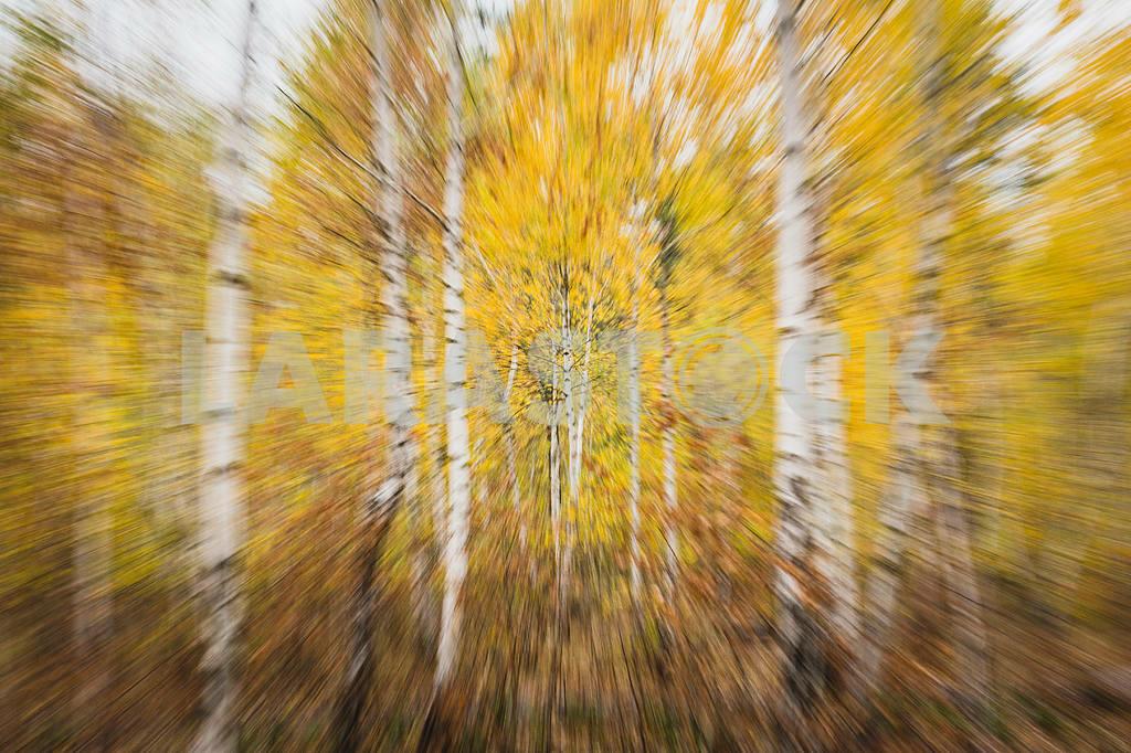 "По-разному в жизни бывает..." (10.11.2020)