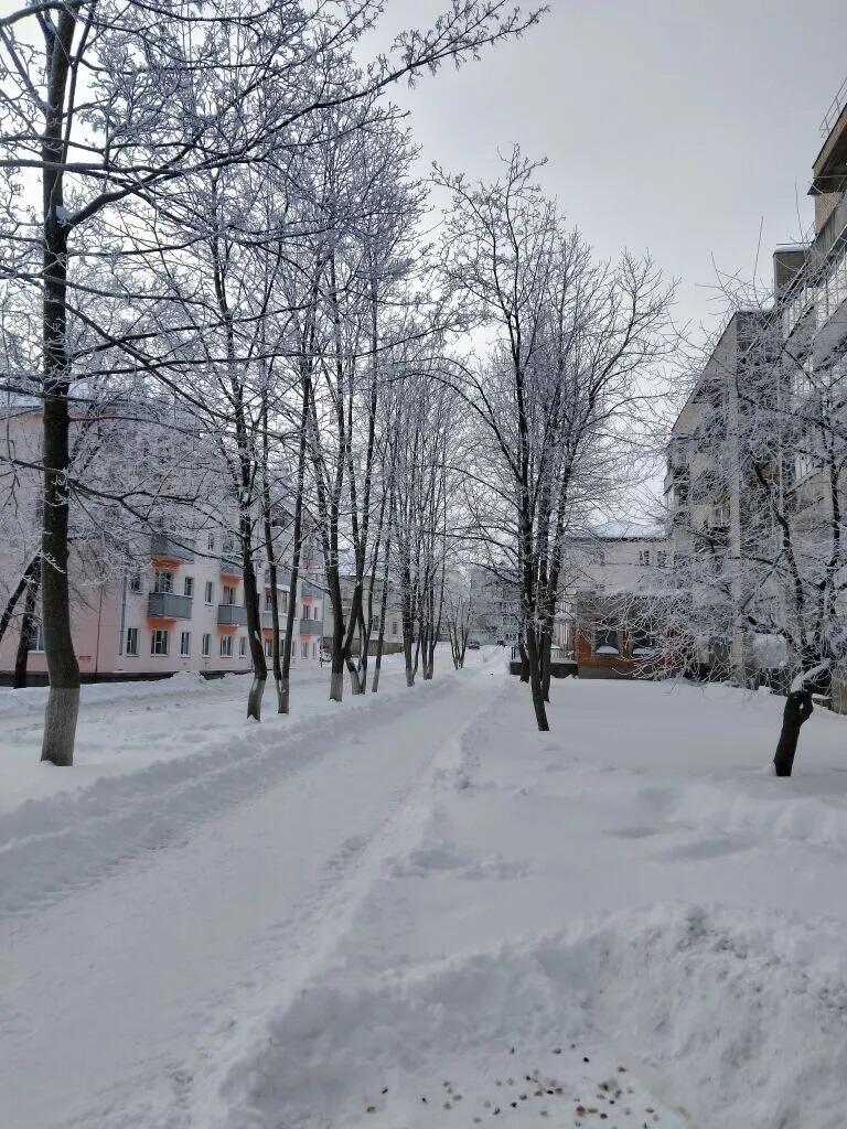 От холода трясётся голубок