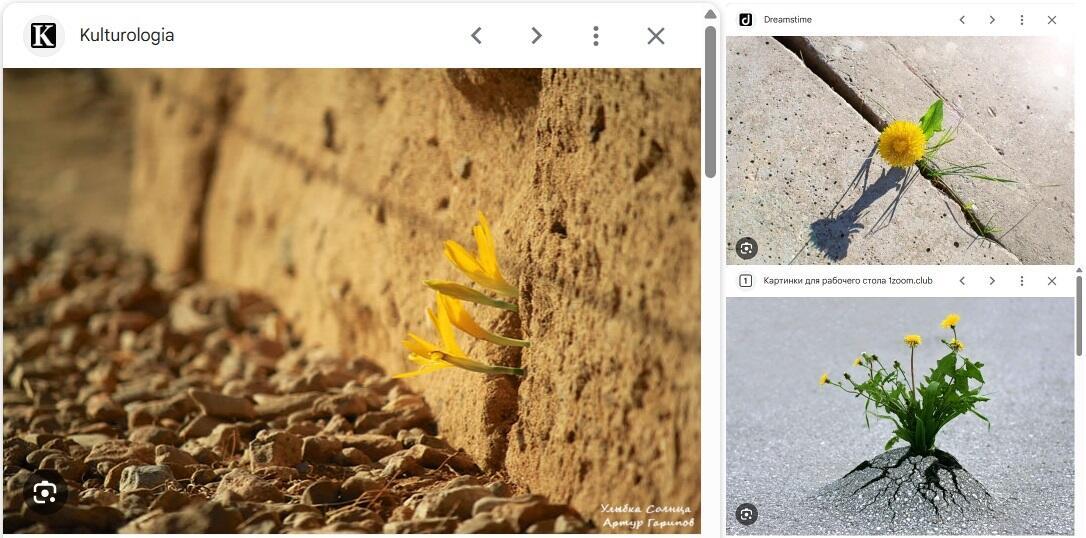 Улыбка Солнца