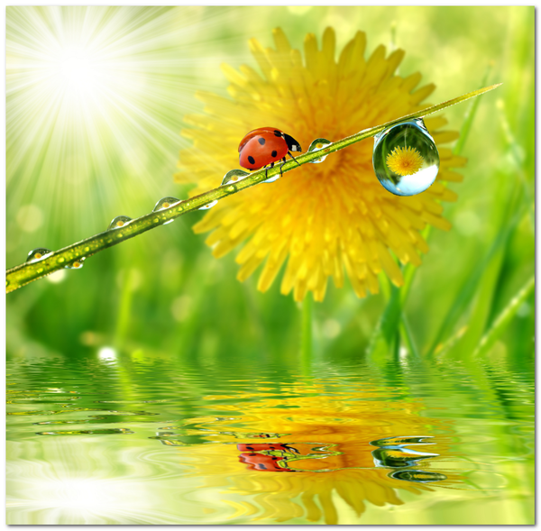 В Т О Р Н И К - из альбома