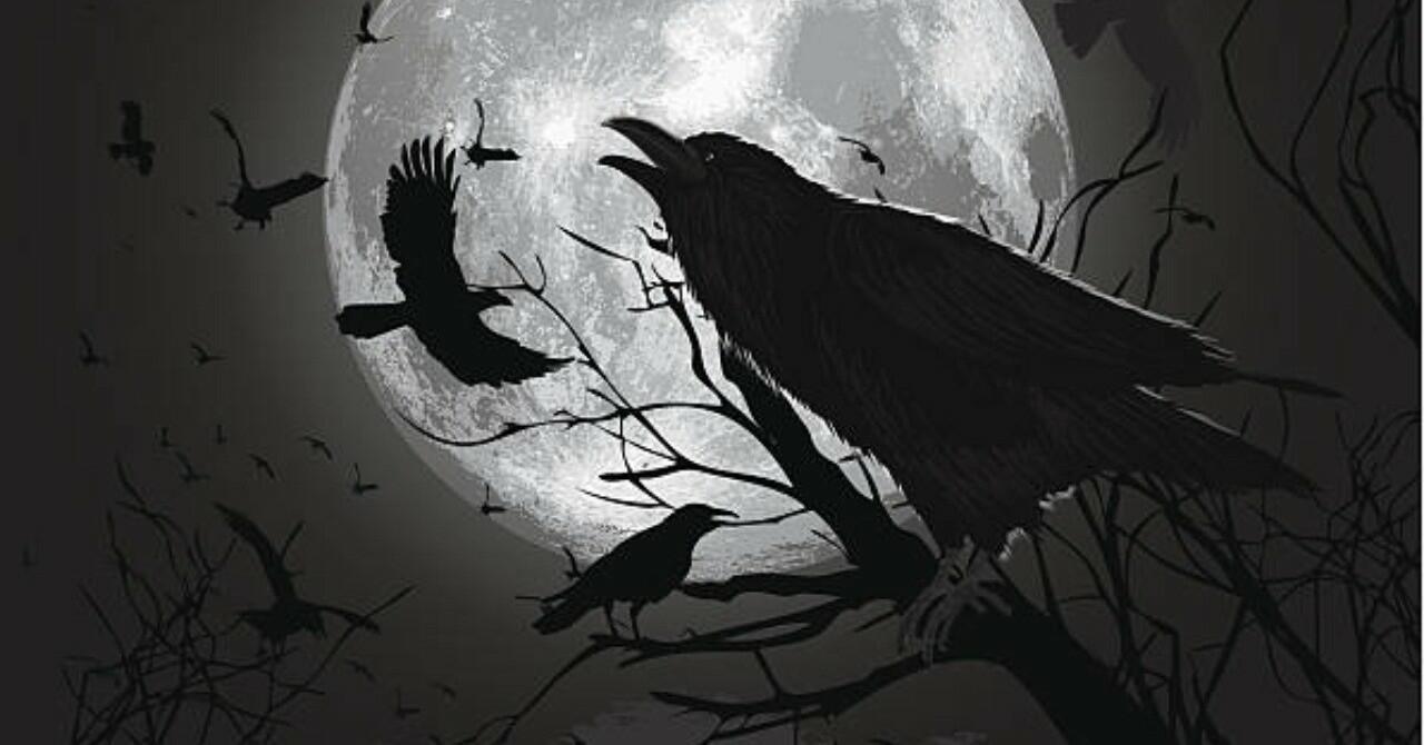 Ответ поэту - Медведь Белый - ЧЁРНЫЙ ВОРОН