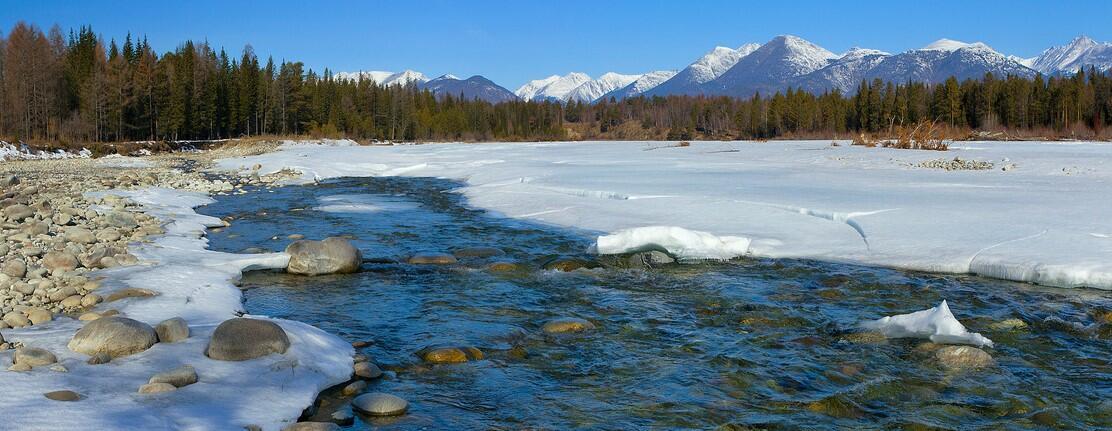 ---Весна уже с нами---