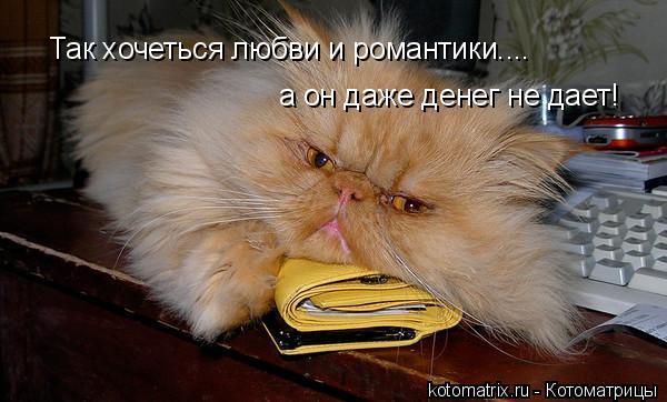 ЛЮБОВЬ АВАНСОМ  !