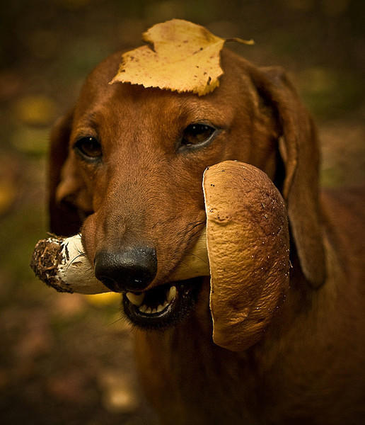 Ты не грусти