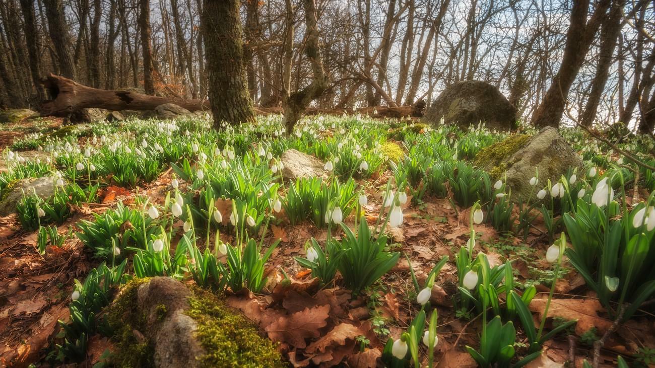 ЗИМА ВЕСЕННЯЯ.... проза