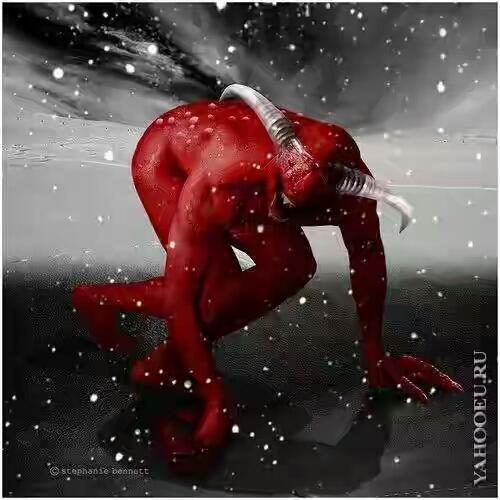 Тминное семя