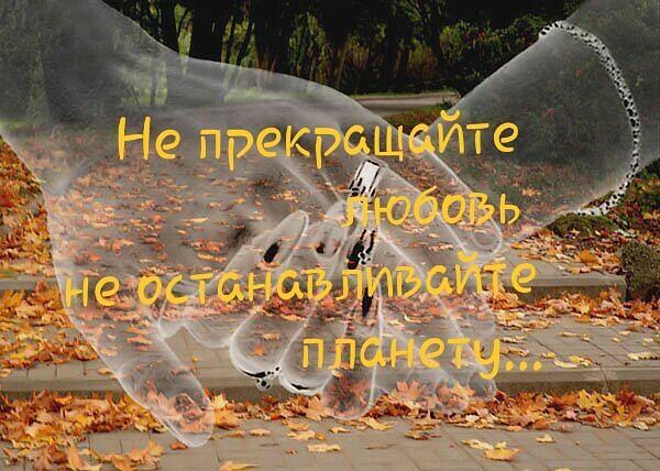 Любовь, ведь, не всем даётся...