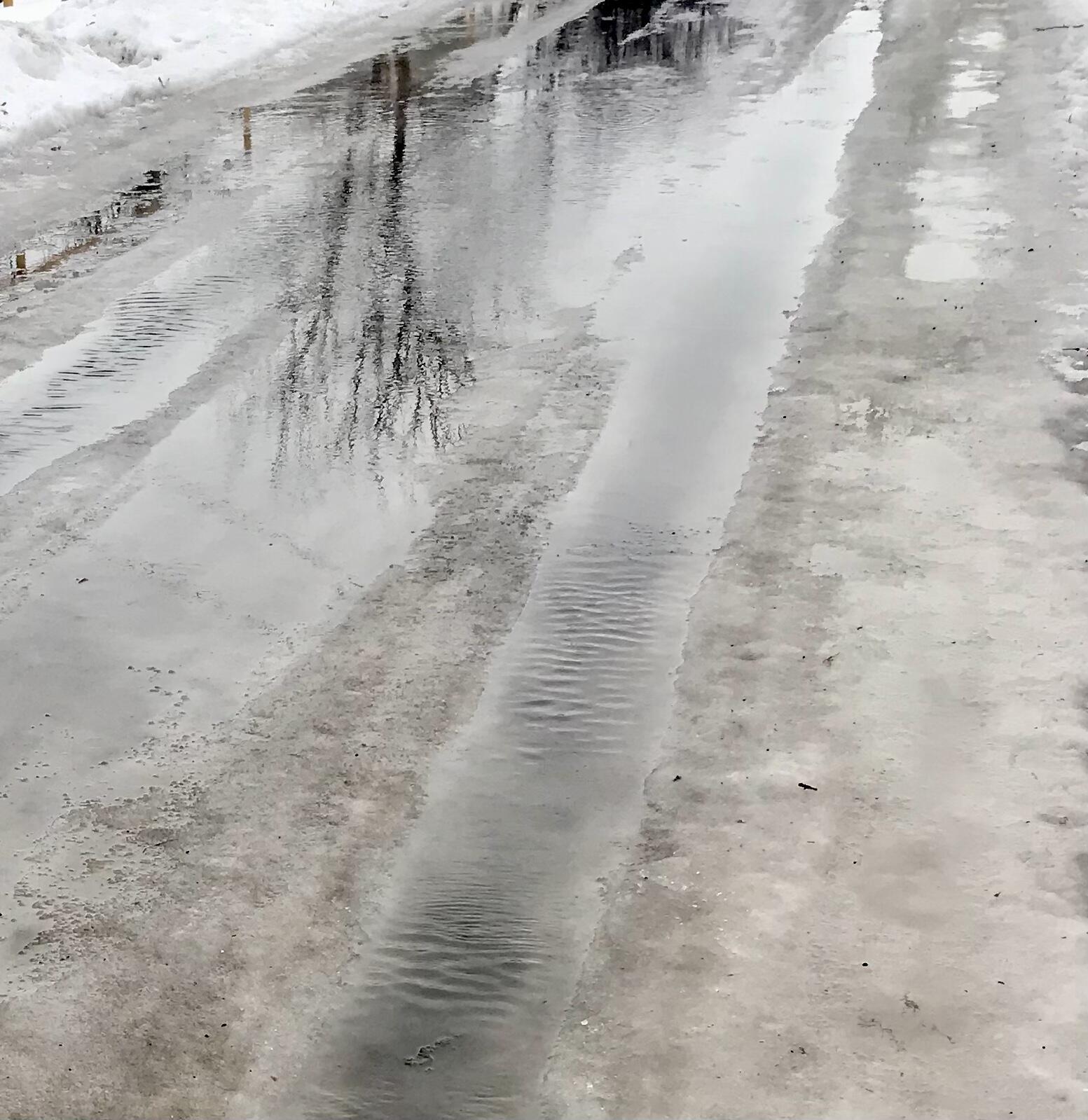 Дождит заплаканный февраль