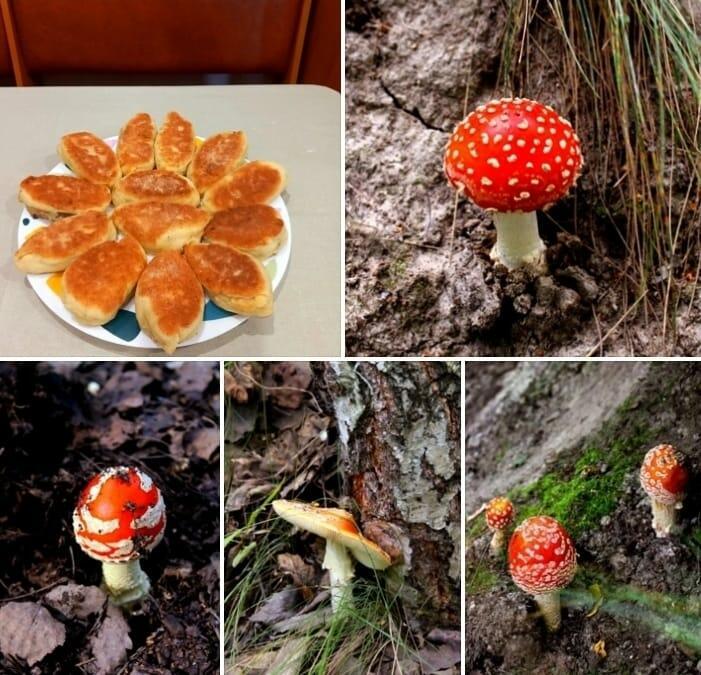 Пирожки с "мухоморами"