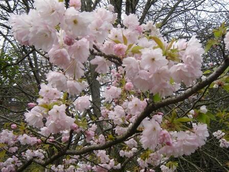 К СВОЕЙ СУДЬБЕ...