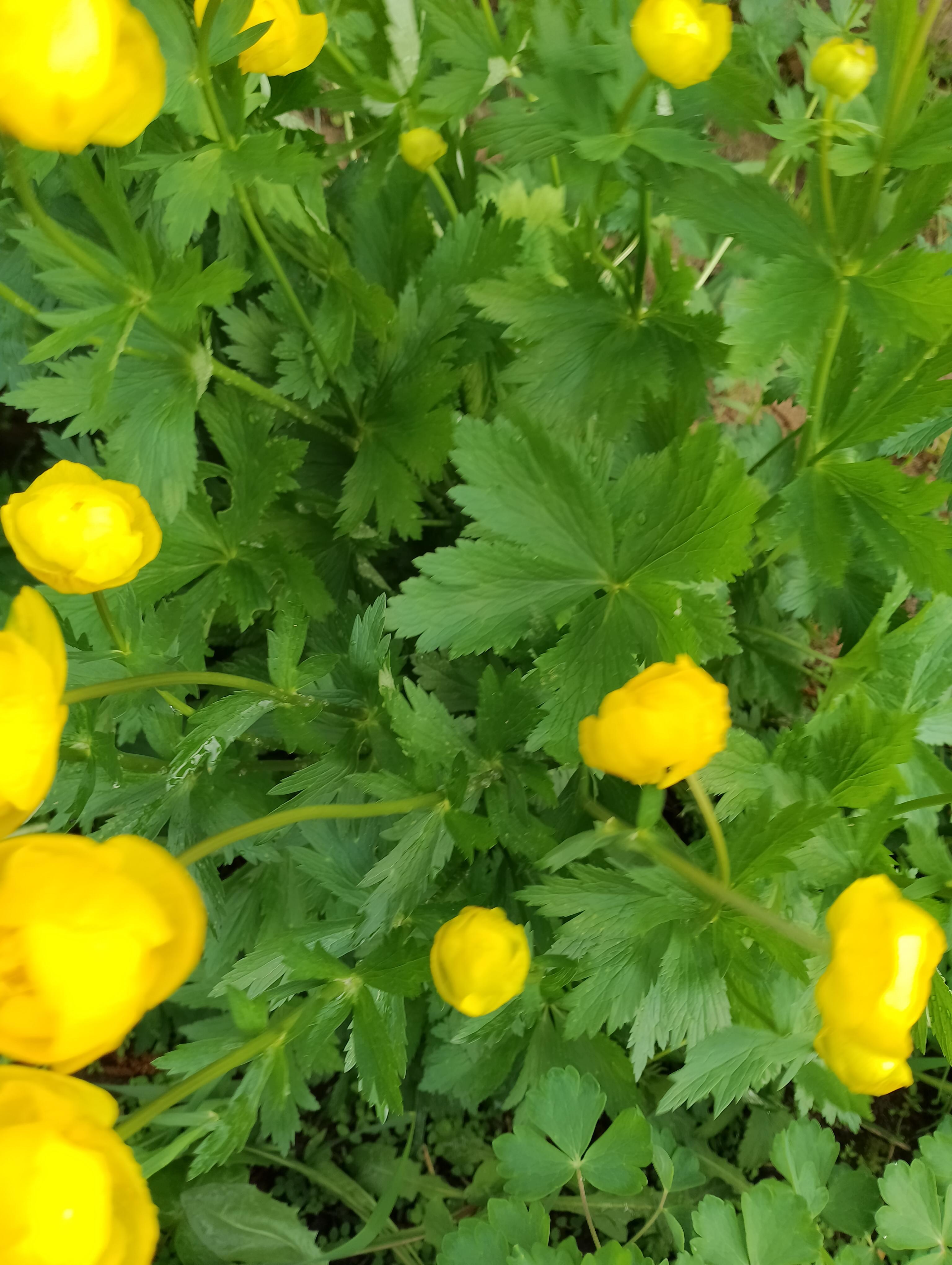 Не хочу такое лето