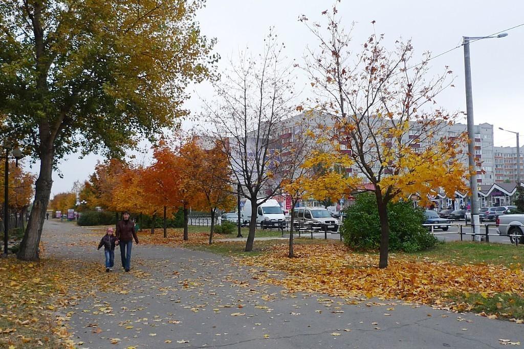 Я лучших в своей жизни не встречала