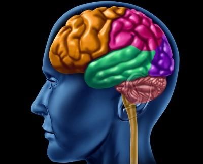 Мозговая зарисовка