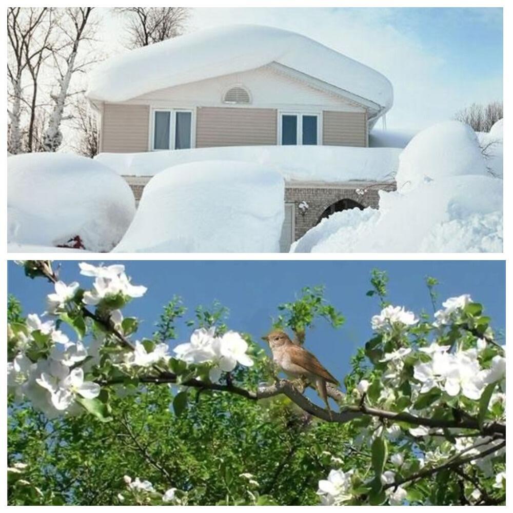 ЗА НЕДЕЛЮ ДО ВЕСНЫ -2