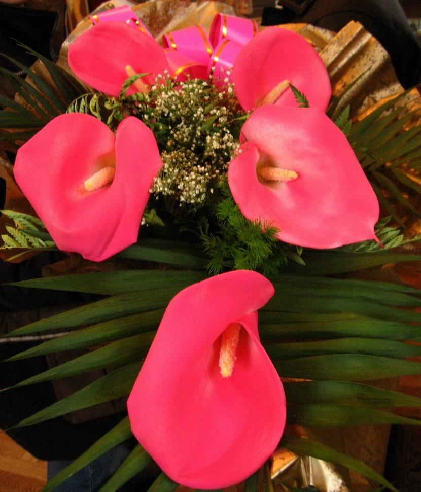 Серия... Диалоги с... Небом.... Сказы. Мудрость Весны.