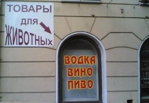 Внимание! Вижу рифму