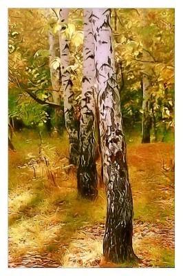 Я б берёзоньки в объятьях...