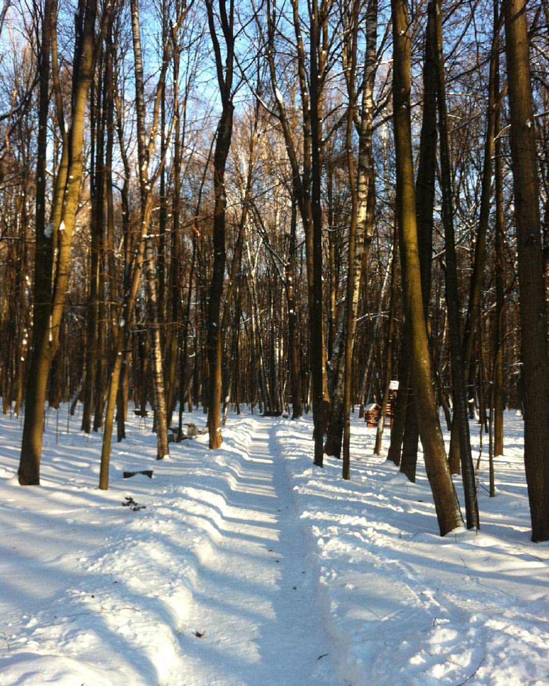 Полуденное солнце
