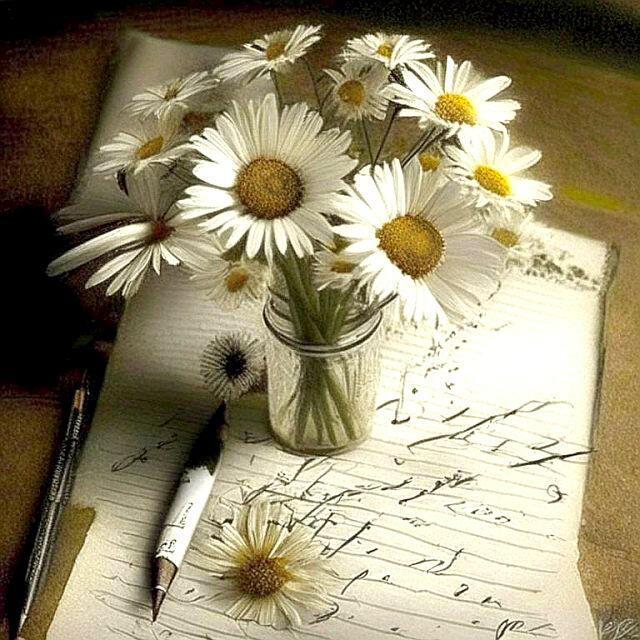 Сегодня утром опустилось перо... 