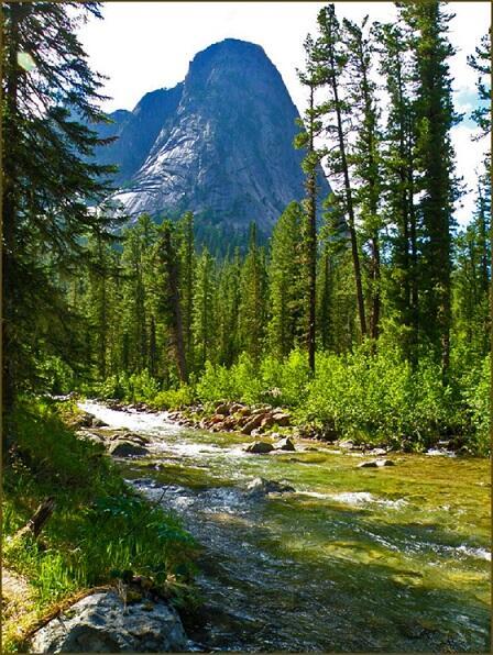 ВДАЛИ ОТ СУЕТЫ