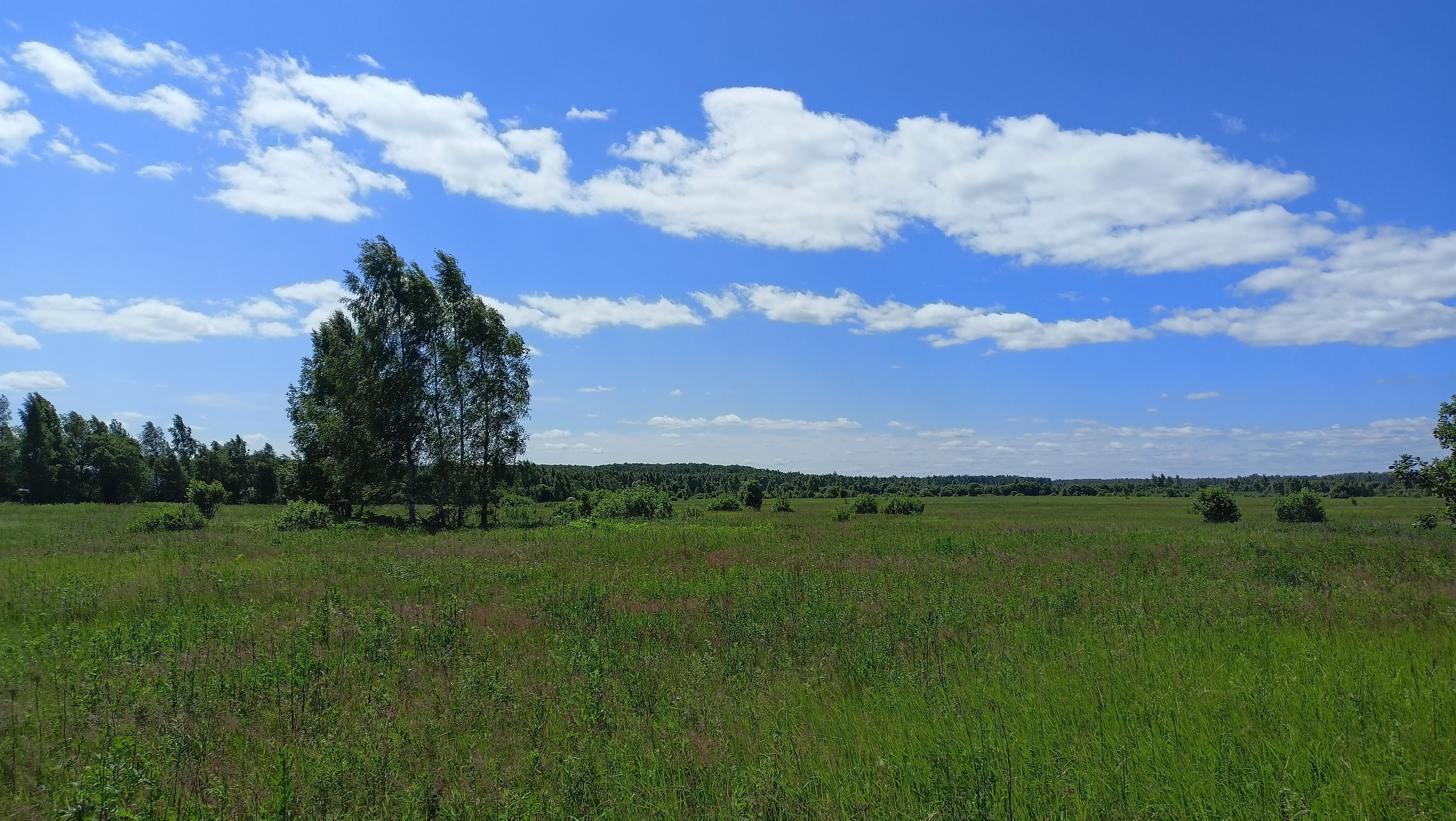 Мужской запал