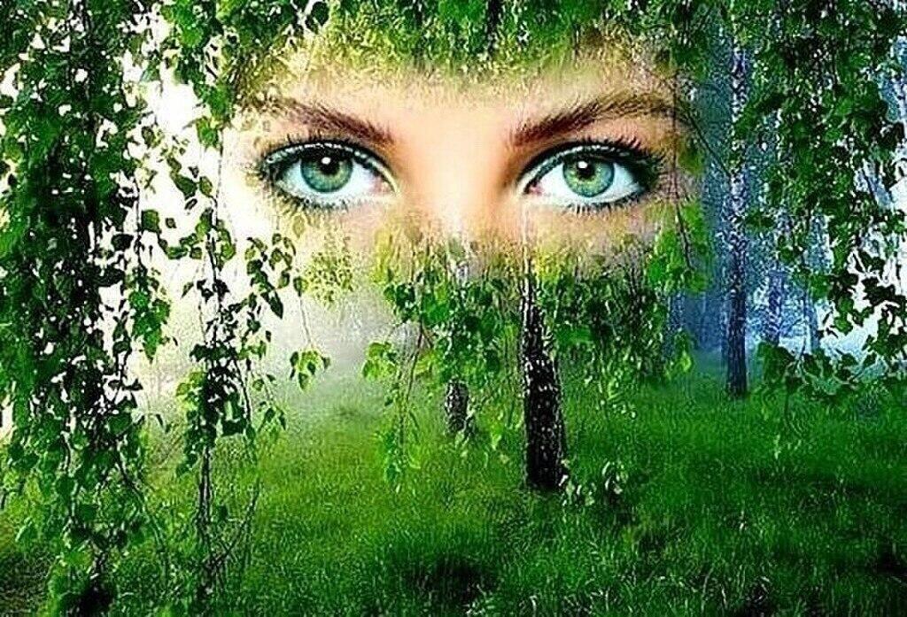 где же ты моя подруга?