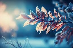 ФЕВРАЛЬ НА ФИНИШЕ.