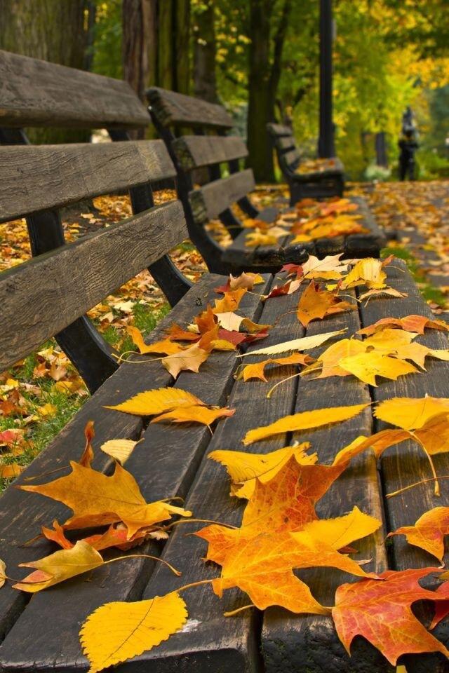 Сного Очень.... Шалит