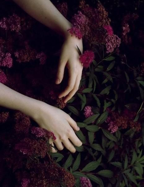 Белая птица дивных миров