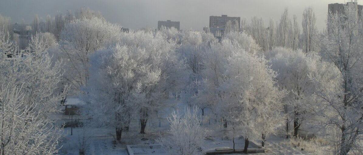 Белоснежное