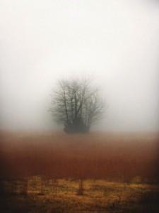 Некрасивая