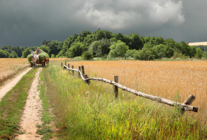 ОТВОРЕННЫЕ СЕНИ.