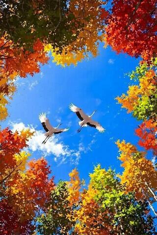 Осени сезон!