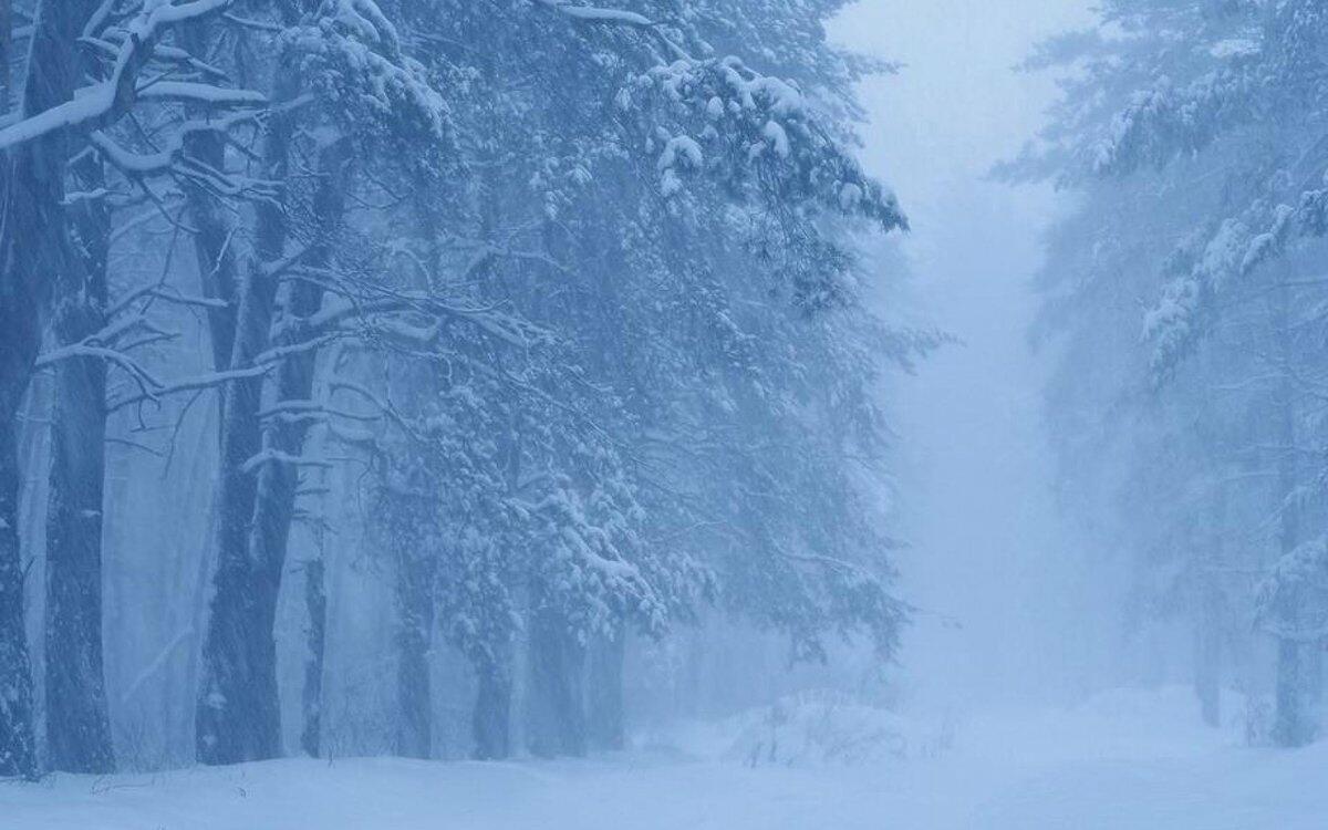 Долгожданного снега аккорды