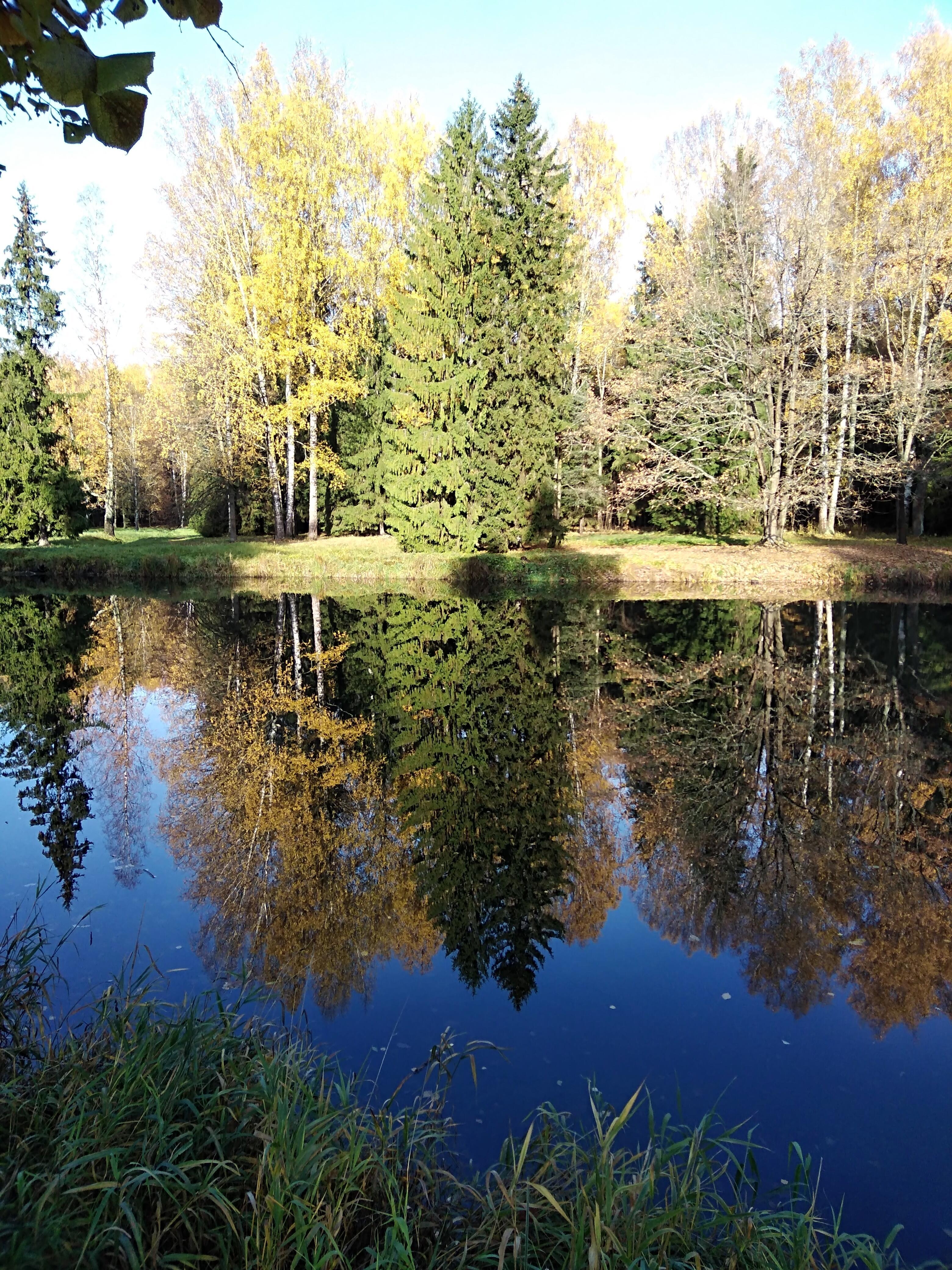 Месяц назад 