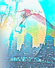 Разлетятся валентинки