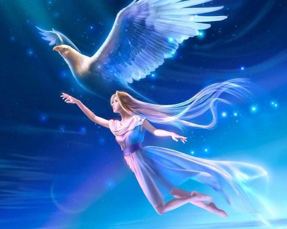 Улечу я птицей в поднебесье