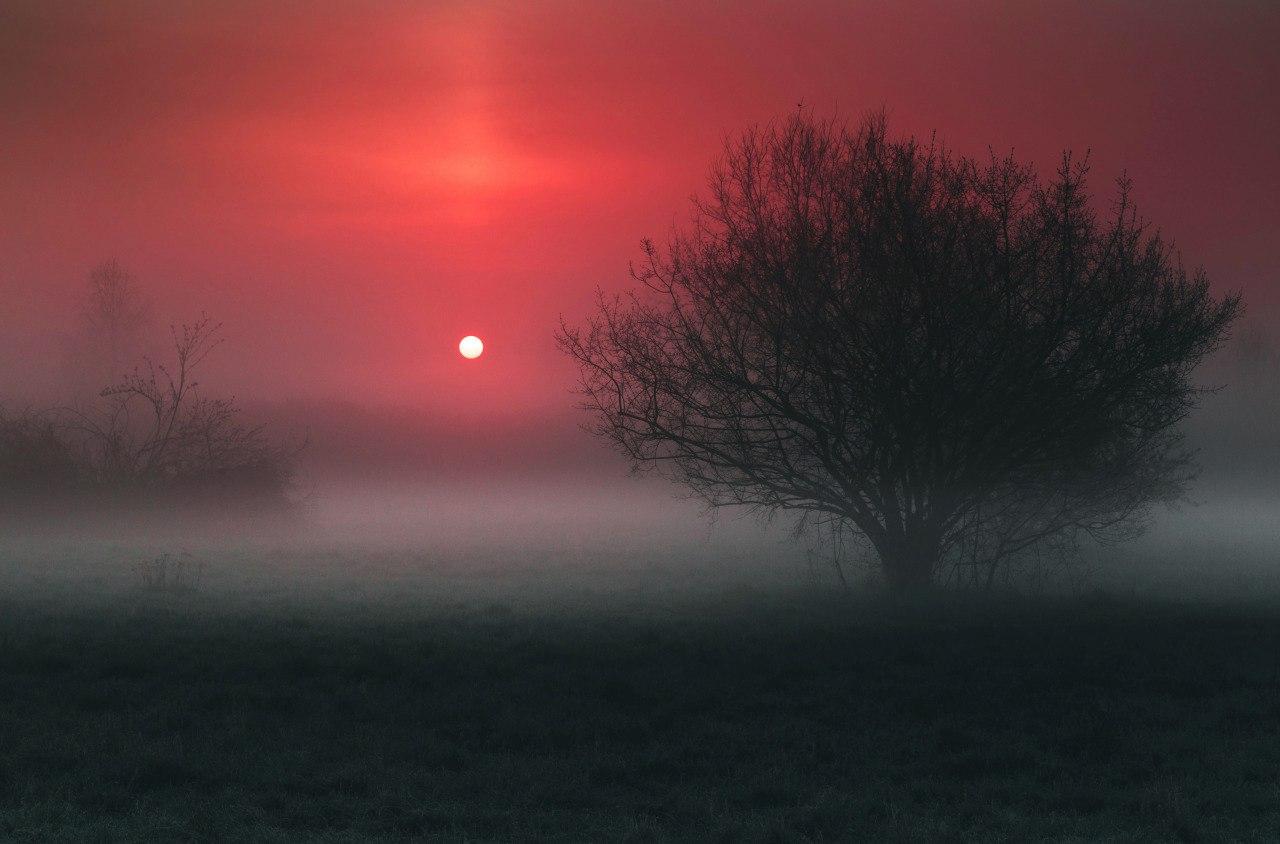 Туманный ориентир.