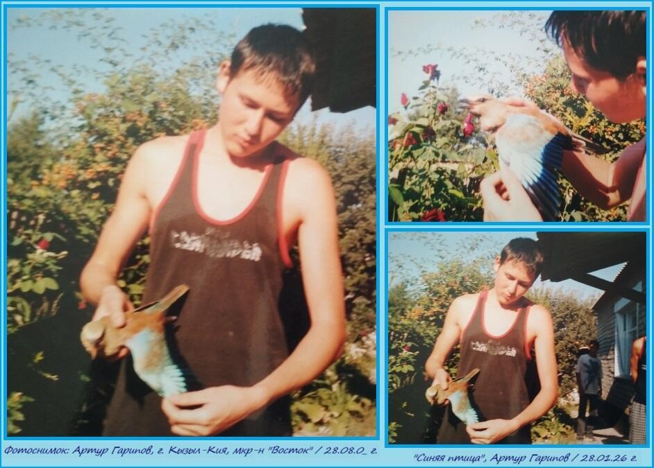 Синяя птица