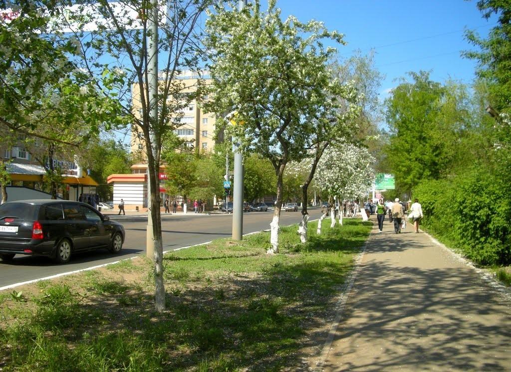 ВСЁ ВОКРУГ ПОЁТ ВЕСНОЙ